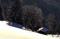 Pension Jordan Kirchberg in Tirol Esterno foto